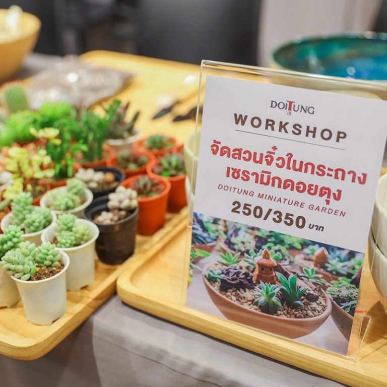 34.เวิร์คช็อป จัดสวนในถาด