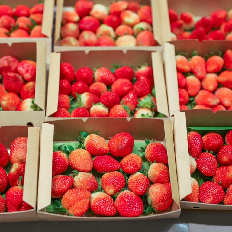 45.สตรอว์เบอร์รี่พันธุ์ลูกผสม