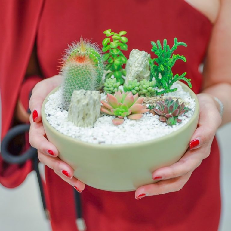 5..ผลงานจัดสวนในถาดของคุณจ๋า-มลชยา