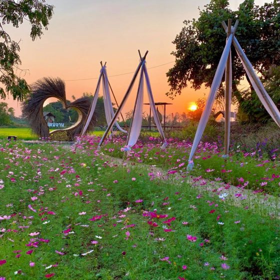 140692409_410829233504287_8473902184874028562_n