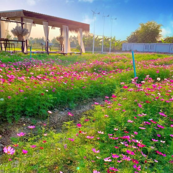 140731355_894597054698377_4911844762826255017_n