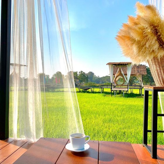 140756176_418223396048272_1464447619645324173_n