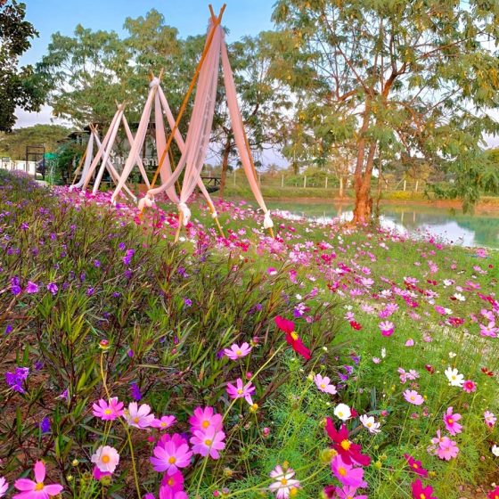 140785005_3984300991582383_4015339144750568654_n