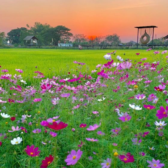 140791269_253033956193740_7390758387702465897_n