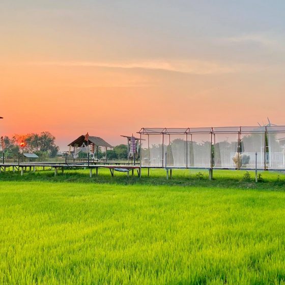 140792837_163898695210948_3321675682091202270_n