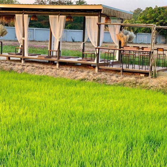 140801263_851614895621819_8527002042883409155_n