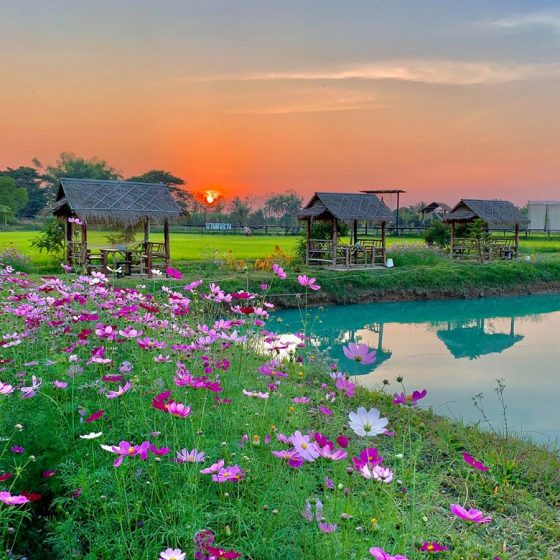 140869967_784689655779039_7698840677502974199_n