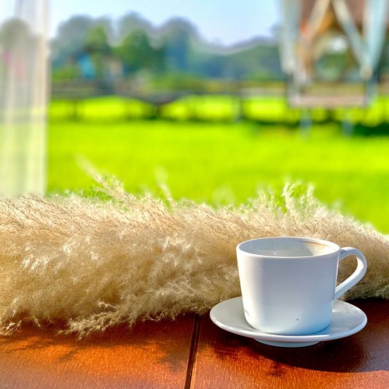 140895050_831566401030374_8578769483547784938_n