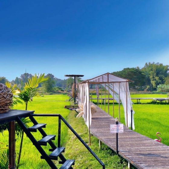 140921537_397037064935597_3666906214897547991_n