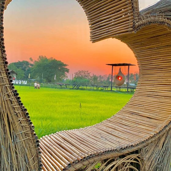 140928366_401947157770262_7433196859209820572_n