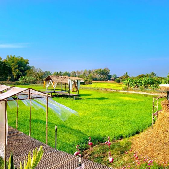 140935130_1382651242088867_1538108171594563019_n