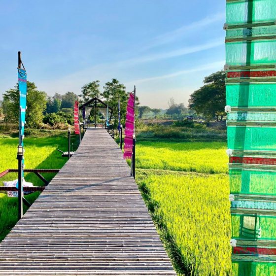 140957341_3494613030656834_6875539612066752661_n