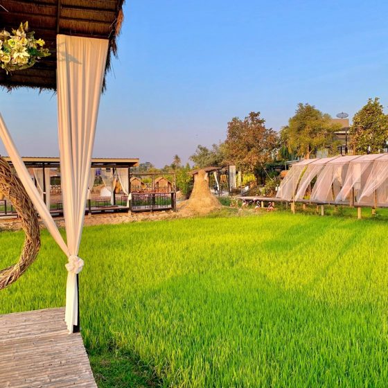 140958742_937452893454234_2396554427538947560_n