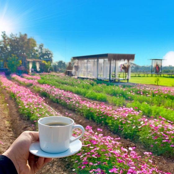 140995714_246430553650429_1809217567706212964_n