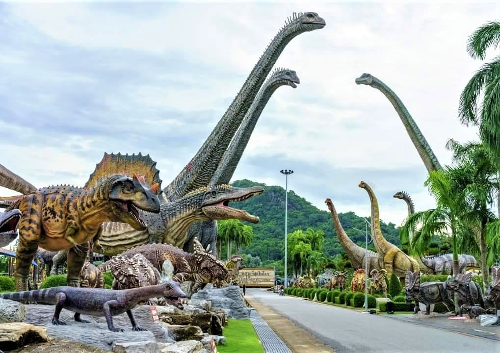 247885454_4519240338137171_4037093283456277534_n