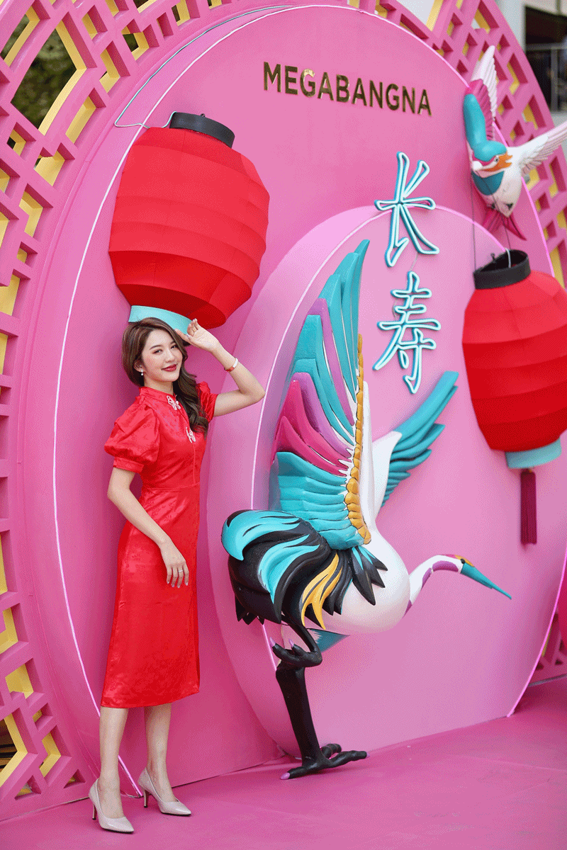 13 Mega Wonderful Chinese New Year 2022 