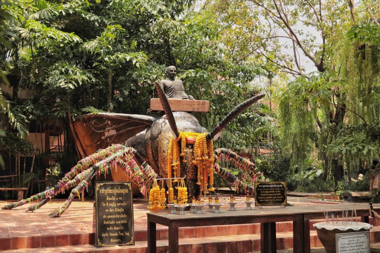 เรียนวิชาอาคม แบบขุนแผน ที่ “วัดแค”