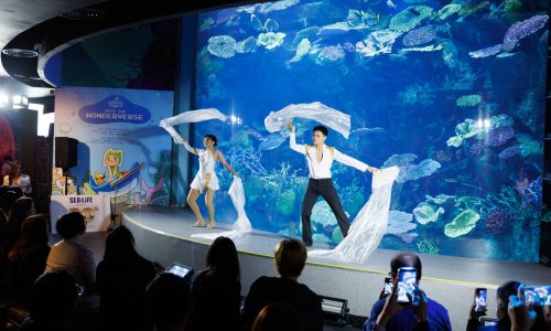 12. บรรยากาศงานแถลงข่าว