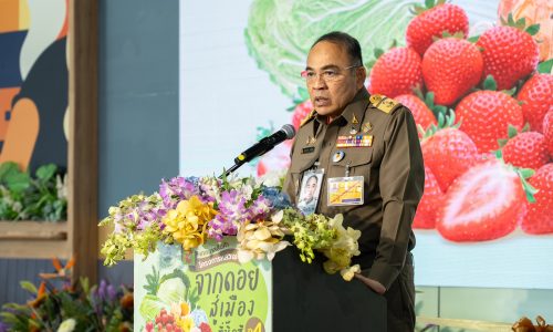 2026-02-27_เทศกาลสินค้าโครงการหลวง ปีที่ 4_11-16-55_ILCE-7M4_0