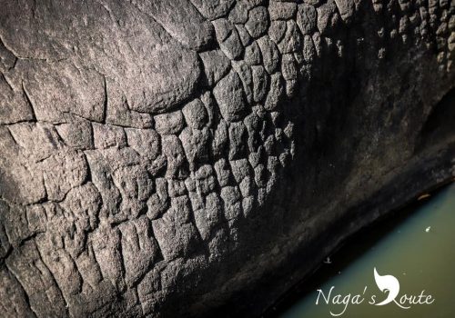 259878263_4626411900753347_6862362443750222656_n