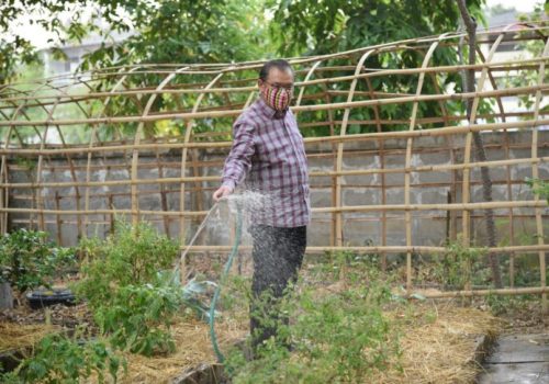 94238471_129218488722847_8366666931935117312_o-728x486