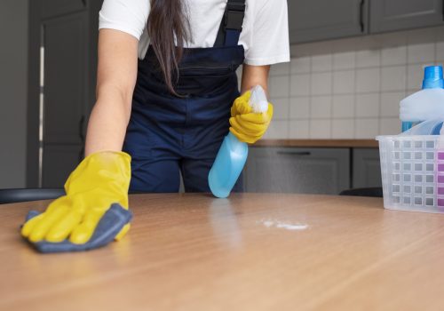 front-view-woman-cleaning-home_0