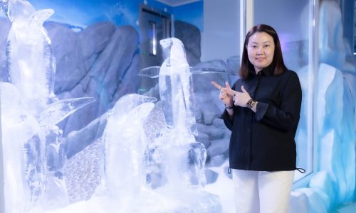 ซีไลฟ์ แบงคอก เปิดโซนเจนทูเพนกวิน โฉมใหม่ เย็นกว่า ใหญ่กว่าเดิม (1)