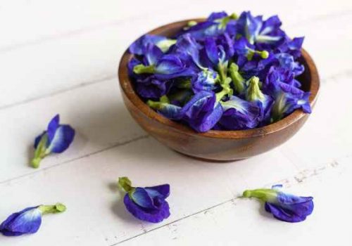 ดอกอัญชัน