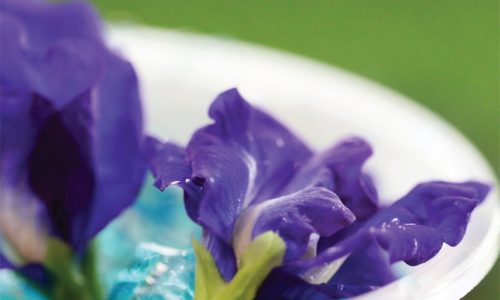 รูปรีวิว 9 การะบูนคาเฟ่_๒๑๐๔๒๗_5